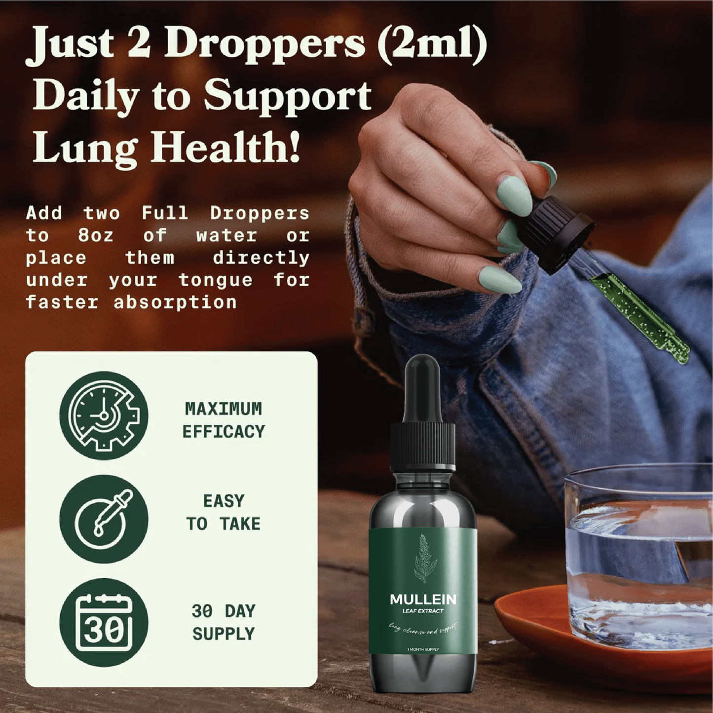 OxyBio Mullein & Chlorophyll Lung Detox Drops